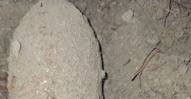 Kolejny niewybuch zabezpieczony przez miechowskich funkcjonariuszy