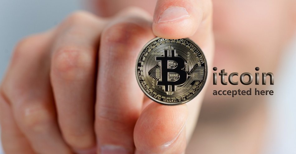 zdjęcie: Charlie okazał się finansowym oszustem / pixabay/3215559