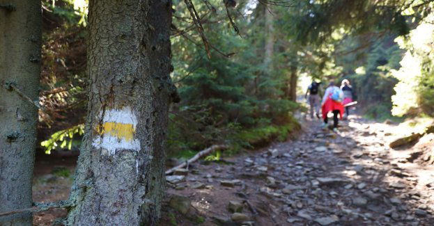 Warunki na szlakach turystycznych - dobre i bardzo dobre