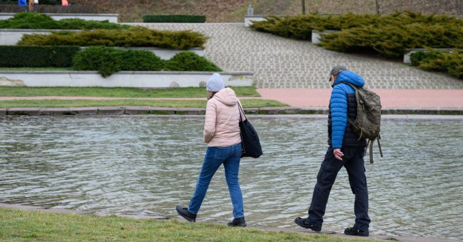 zdjęcie: Zbiorniki wodne na poznańskiej Cytadeli czyszczone i szykowane do wiosennej migracji płazów / fot. PAP