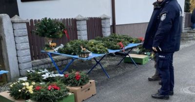 Kontrole choinek w Krościenku zgodne z przepisami