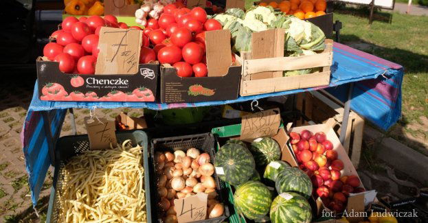 Targowisko przy Kawaleryjskiej zaprasza