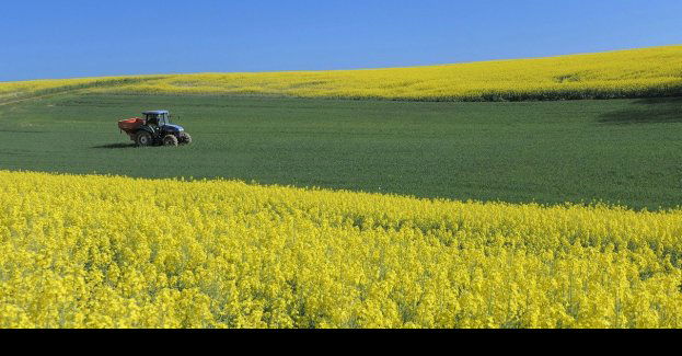 Dopłaty 2020: Ostateczny termin składania oświadczeń mija 8 czerwca