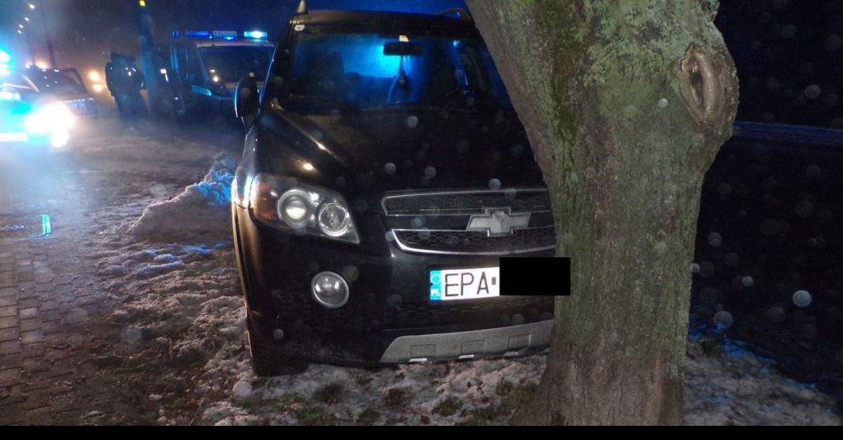 zdjęcie: Nocny rajd 16 latka zakończony na drzewie / fot. KPP w Pabianicach