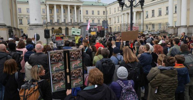 Przeciwnicy odstrzału dzików protestowali pod stołecznym ratuszem