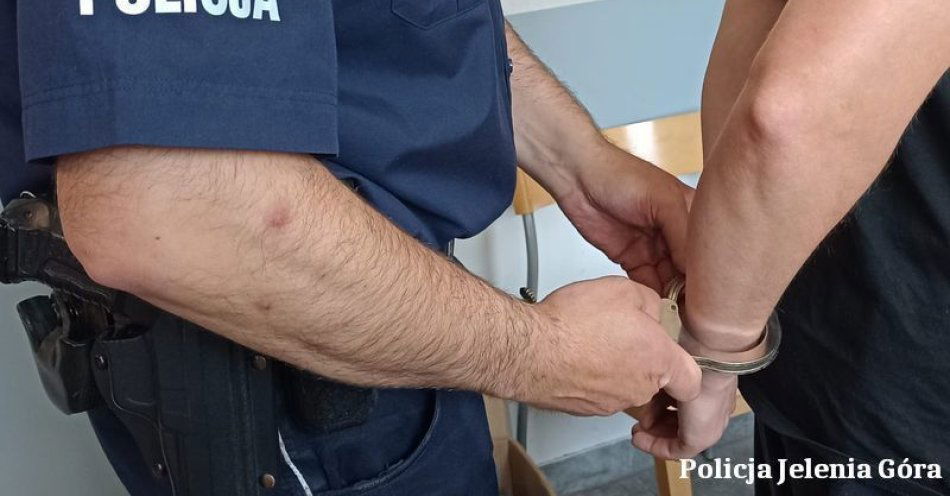 zdjęcie: Pracownik tankował na koszt firmy i sprzedawał paliwo. Policja zatrzymała 36-latka z Jeleniej Góry / fot. KMP w Jeleniej Górze