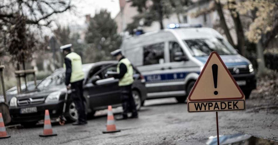 zdjęcie: Stęszew - Tymczasowy areszt dla sprawcy śmiertelnego wypadku drogowego / fot. KMP w Poznaniu