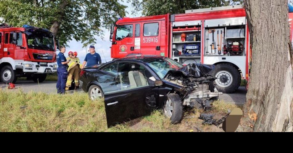 zdjęcie: Osobowe auto uderzyło w drzewo / fot. KPP w Sztumie