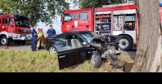Osobowe auto uderzyło w drzewo