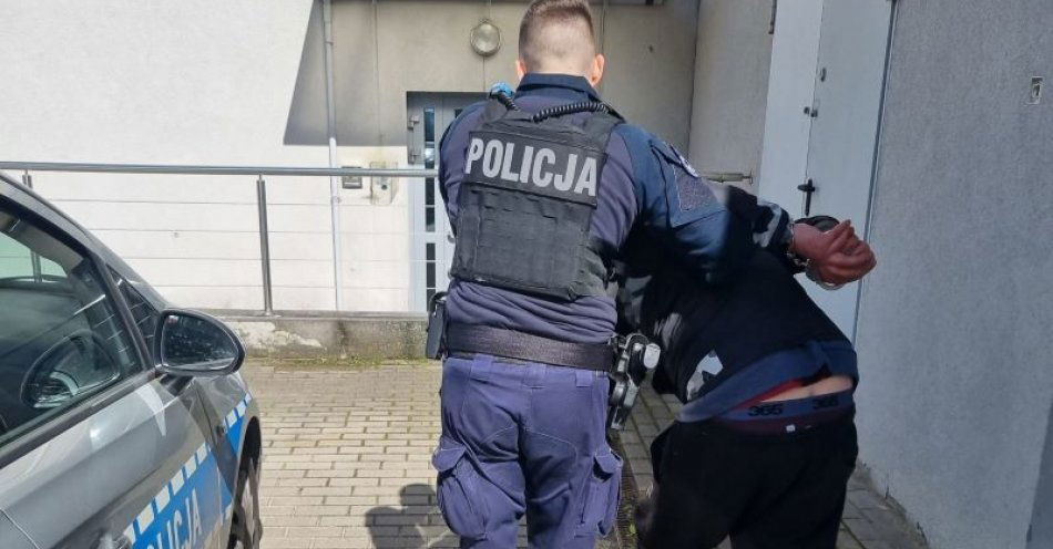 zdjęcie: Zatrzymanie sprawcy podpalenia garażu / fot. KMP w Gdyni
