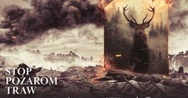 Bezsensowne i niebezpieczne wiosenne wypalanie traw wywołane przez człowieka