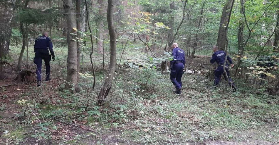 zdjęcie: Uważajmy szczególnie na dzieci podczas rodzinnych wycieczek na grzyby / fot. KPP w Świdnicy