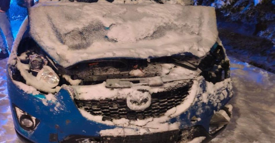 zdjęcie: Śnieg złamał drzewa i przewrócił je na przejeżdżające auta / fot. KPP Tomaszów Lubelski