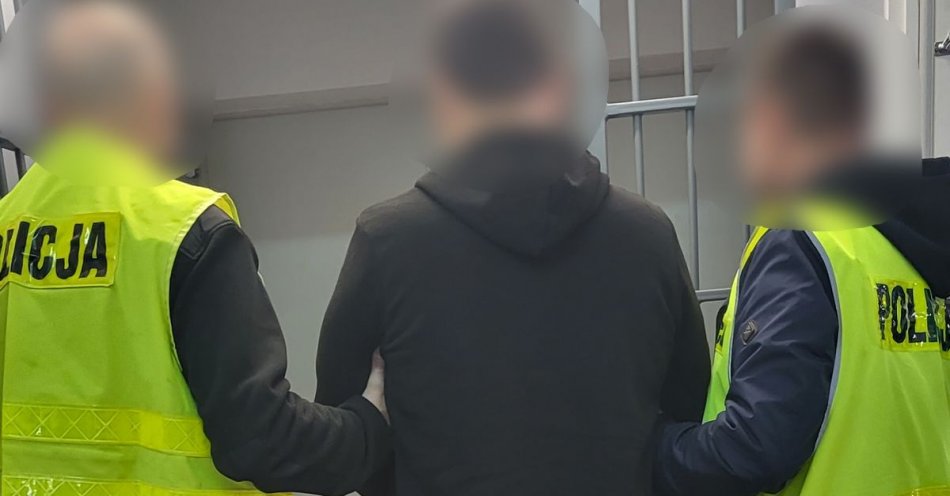 zdjęcie: Trzymiesięczny areszt za kradzieże i włamania dla 30-letniego recydywisty / fot. KMP Gorzów Wielkopolski