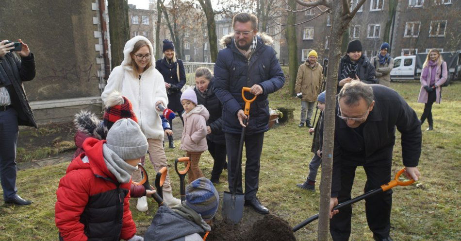 zdjęcie: Katowice podsumowują nasadzenia drzew w 2022 r. / fot. nadesłane