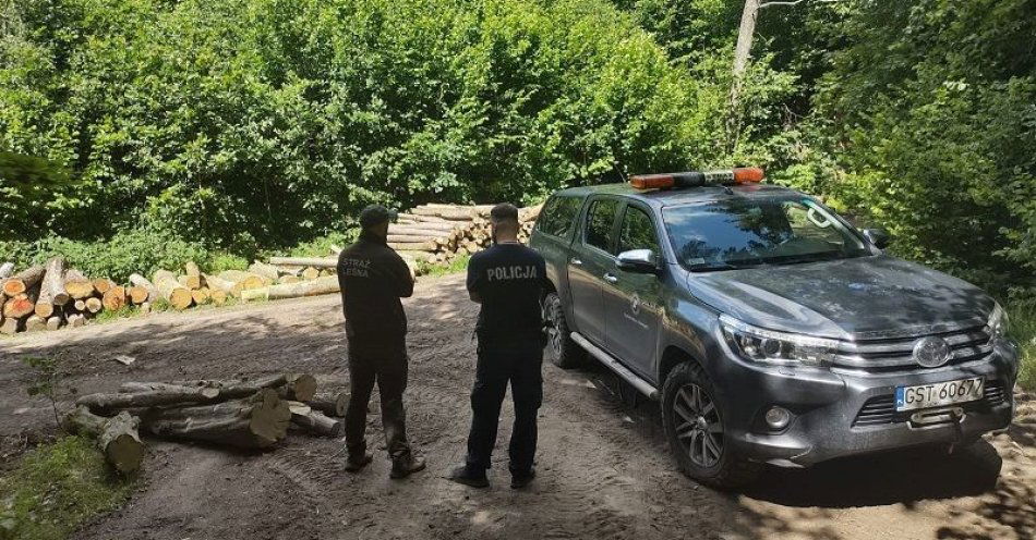 zdjęcie: Policjant i strażnicy leśni pilnują porządku w lasach powiatu tczewskiego / fot. KPP w Tczewie
