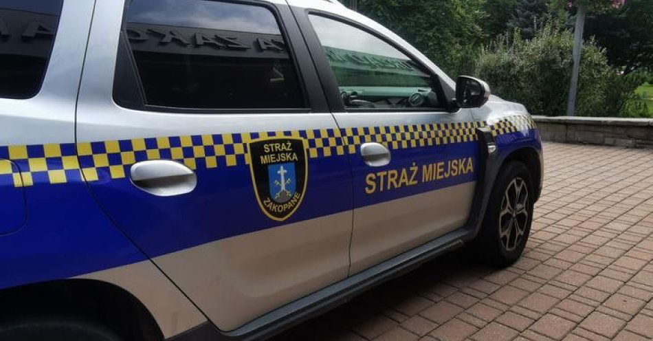 zdjęcie: Kierowca wjechał do Kuźnic pomimo sądowego zakazu / fot. KMP w Zakopanem