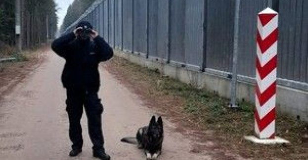 Ostrowski policjant wraz ze swoim czworonożnym kompanem pełni służbę przy granicy z Białorusią