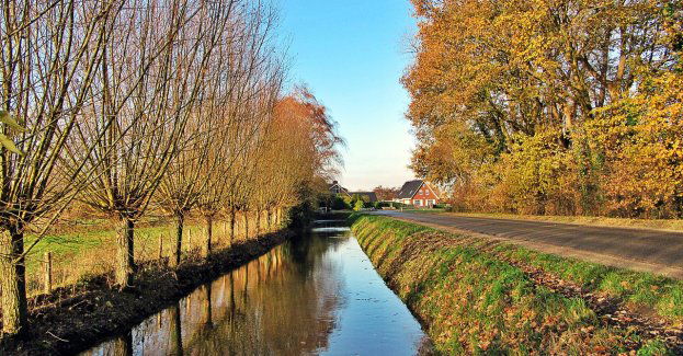 Znaleziono ciało mężczyzny w rowie