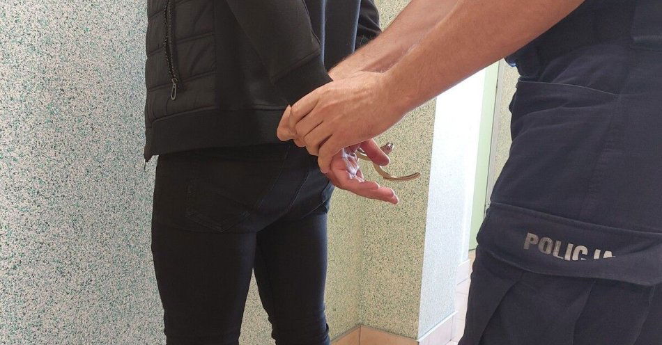 zdjęcie: Dębicka akcja Poszukiwany. Policja zatrzymała 11 osób / fot. KPP w Dębicy fot. KPP Dębica