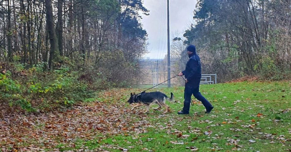 zdjęcie: Dragon szkolił się w terenie / fot. KPP w Radziejowie