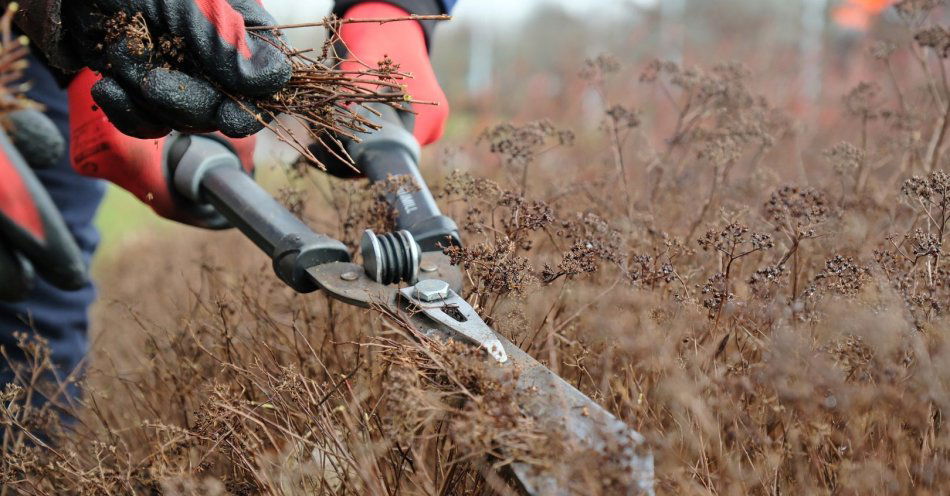 zdjęcie: Lublin szykuje się na wiosnę / fot. nadesłane