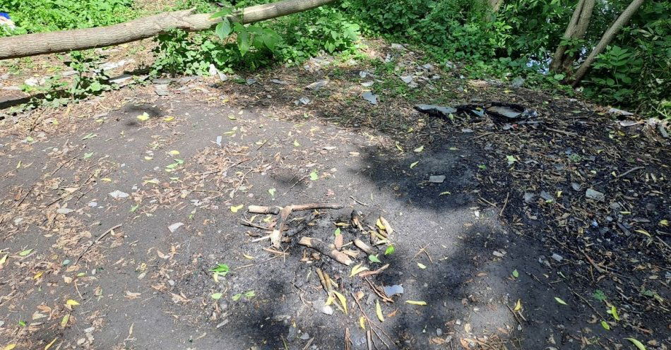 zdjęcie: Chciał sobie upiec kiełbaskę nad ogniskiem - trafił do aresztu / fot. KPP Ryki