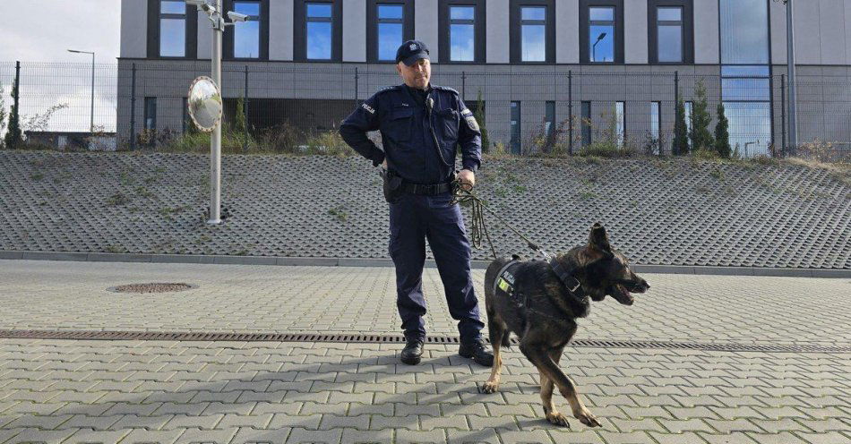 zdjęcie: Przewodnik i pies odnaleźli zaginionego 82-latka w lesie / fot. KMP w Sosnowcu