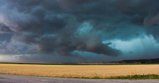 Leśnicy apelują o ostrożność w lesie; po burzy można napotkać wiatrołomy