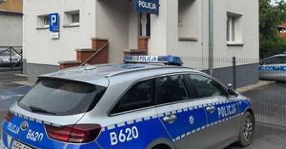zdjęcie: 19 letni mieszkaniec zatrzymany za włamania do koparek w Osiecznicy / fot. KPP w Bolesławcu