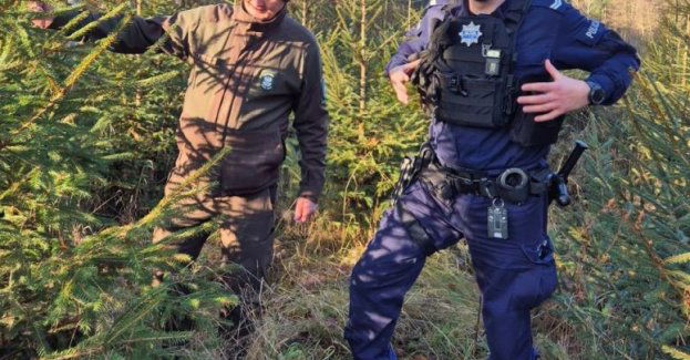 Kup choinkę tylko z legalnego źródła i uniknij kłopotów