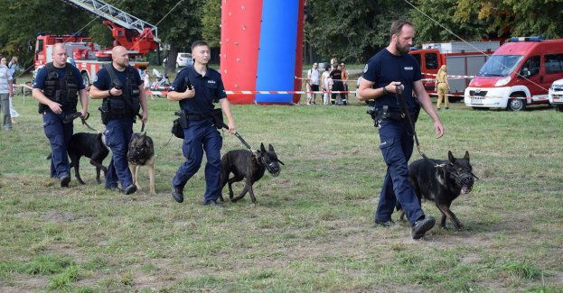 Weekendowe imprezy plenerowe z udziałem krakowskich policjantów