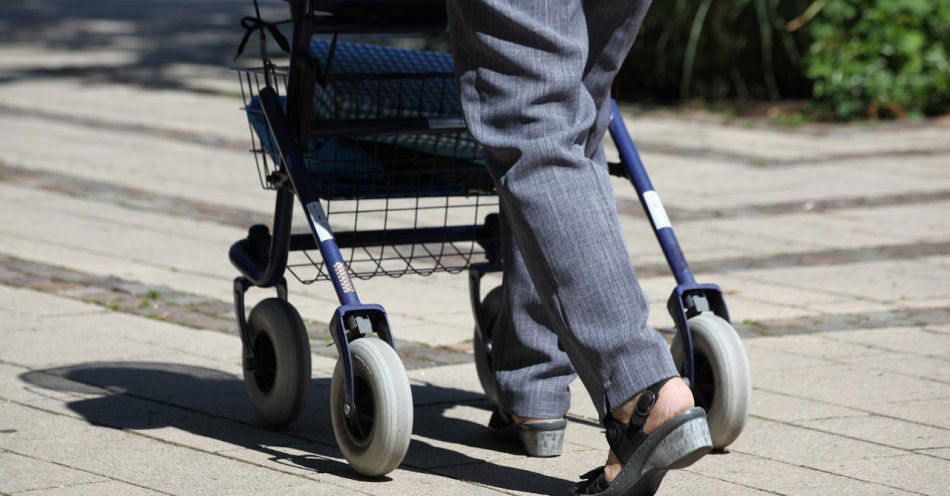 zdjęcie: Senior na drodze… do bezpieczeństwa / pixabay/3480878