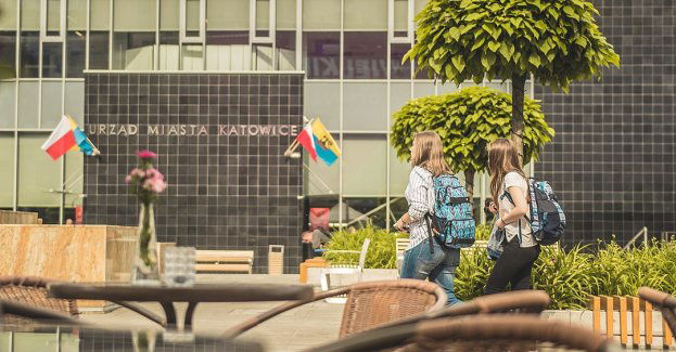 Informacje Wydziału Planowania Przestrzennego i Urbanistyki