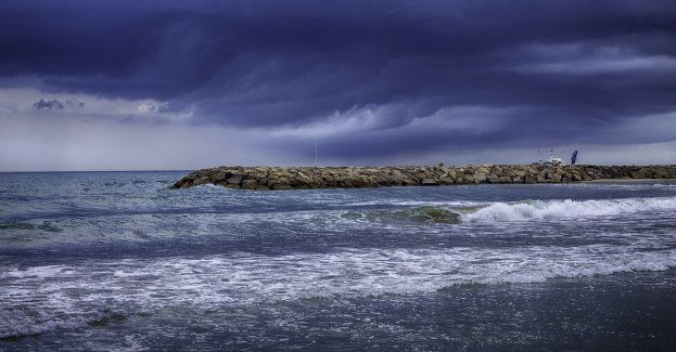 IMGW ostrzega przed silnym wiatrem w regionie