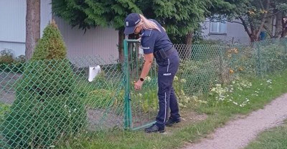 zdjęcie: Tereny działkowe pod nadzorem dzielnicowych / fot. KPP w Pułtusku
