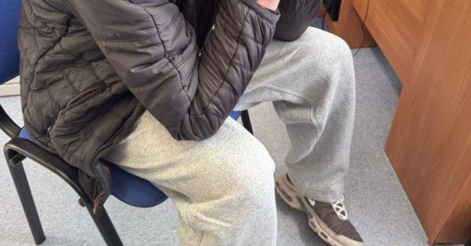 zdjęcie: Gdynia: zatrzymano mężczyznę za groźby i nazistowskie gesty / fot. KMP w Gdyni