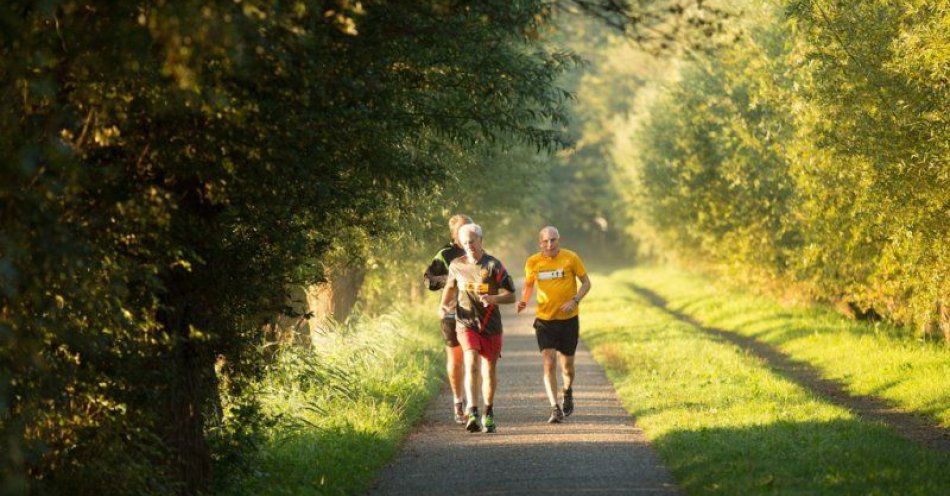 zdjęcie: 6. urodziny PARKRUN Grudziądz / fot. UM Grudziądz