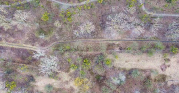 Prezydent wystąpił z wnioskiem o omówienie koncepcji Muzeum Twierdzy Grudziądz