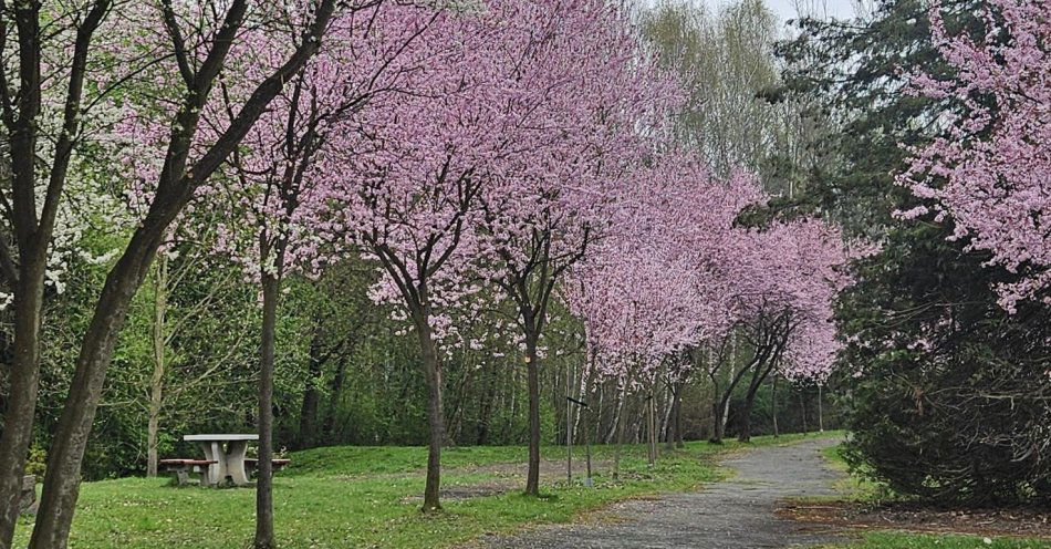 zdjęcie: Katowice inwestują w parki / fot. nadesłane
