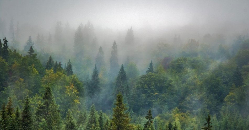 zdjęcie: Noc pogodna, tylko na północy możliwe mgły / pixabay/975091