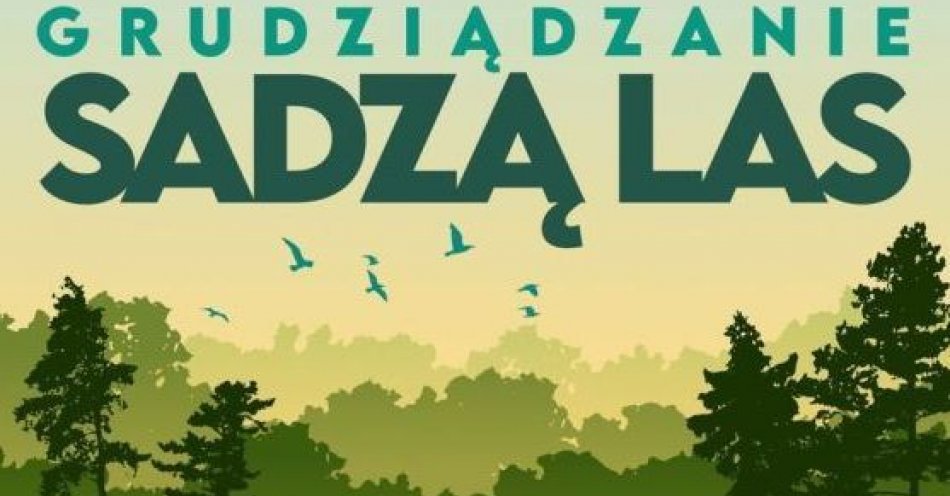 zdjęcie: Grudziądzanie posadzili las / fot. UM Grudziądz