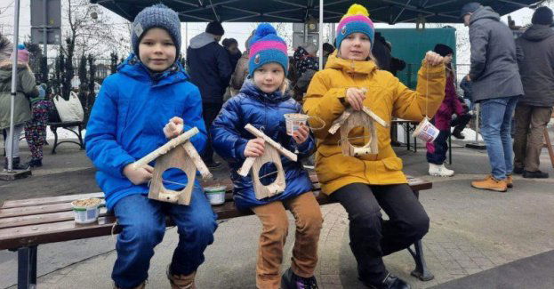 Ptasia stołówka w Parku Miejskim