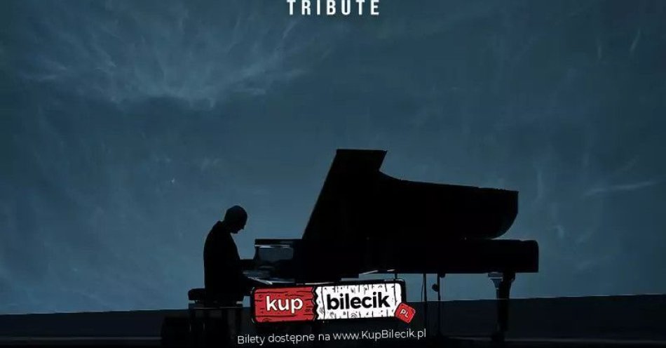 zdjęcie: Muzyka Ludovica Einaudiego / kupbilecik24.pl / Muzyka Ludovica Einaudiego