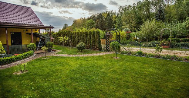 Poznań/Mosina – Włamywacz z działek zatrzymany! Poszukujemy innych pokrzywdzonych