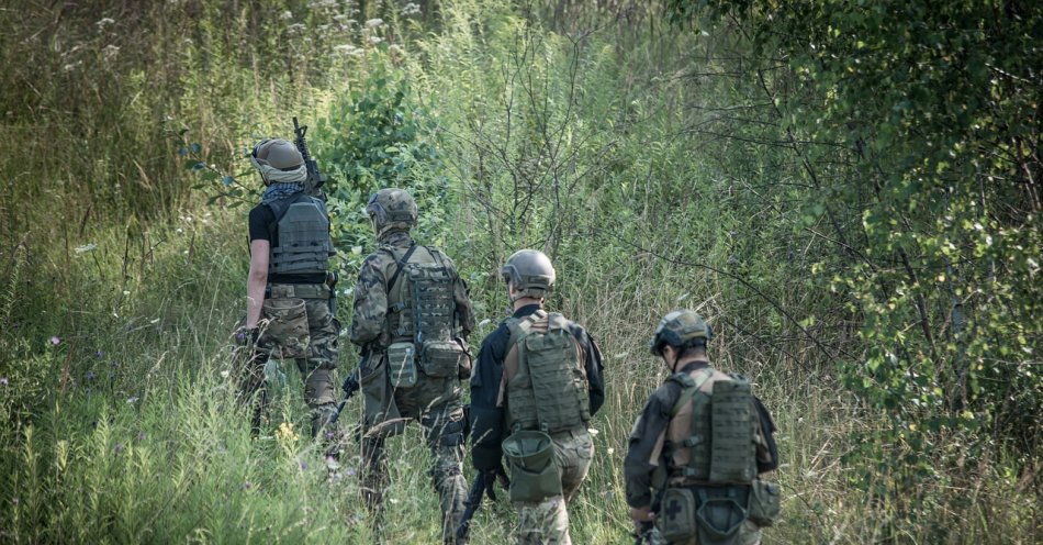 zdjęcie: NASK i MON ostrzegły przed kampanią dezinformacyjną dotyczącą rzekomej rekrutacji polskich ochotników do walki w Ukrainie / pixabay/4771925