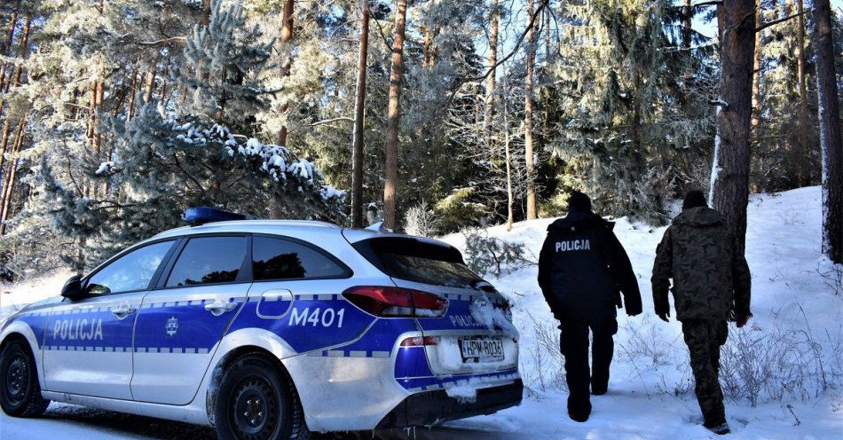 zdjęcie: Stop nielegalnej wycince choinek / fot. KPP Augustów