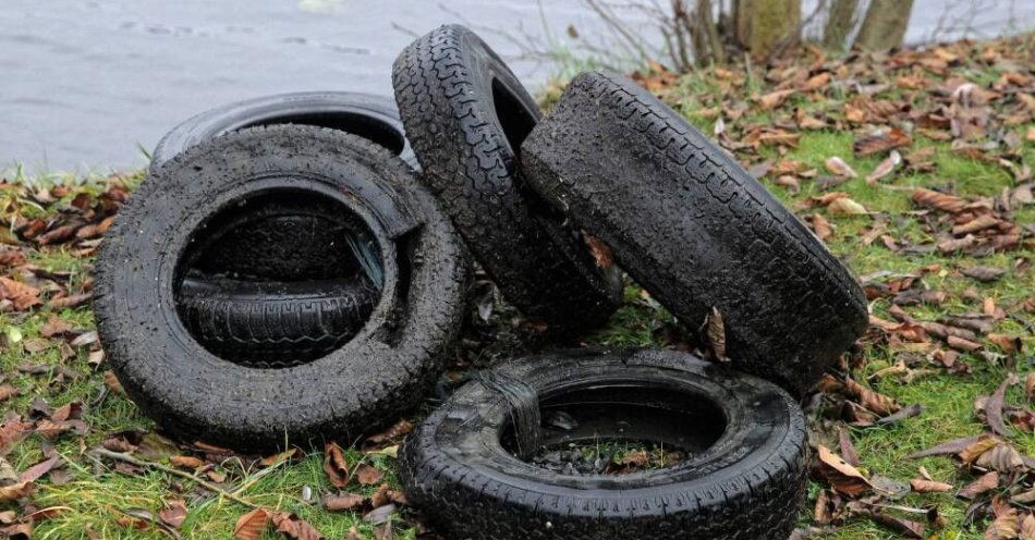 zdjęcie: Płetwonurkowie sprzątali dno Niegocina; wydobyli stare opony, butelki i ubrania / Mrągowo, 14.11.2020. Grupa płetwonurków sprząta jezioro Czos w Mrągowie, 14 bm. Dzięki Mrągowskiej Inicjatywie Lokalnej nurkowie pozyskali niezbędne fundusze do oczyszczenia dna akwenu wzdłuż brzegu w mieście. Po sezonie turystycznym pod wodą pozostaje zwykle sporo śmieci. Uczestnicy akcji oprócz puszek, butelek, czy opon znaleźli też rozprutą pancerną kasetkę i damską torebkę z kompletem osobistych dokumentów. (olm) PAP/Tomasz Waszczuk