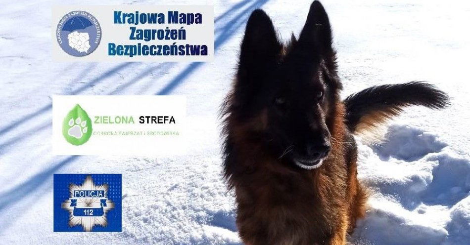 zdjęcie: Chrońmy zwierzęta podczas mrozów – to nasz obowiązek / fot. KPP Hrubieszów