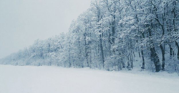 Ostrzeżenie IMGW przed intensywnymi opadami śniegu